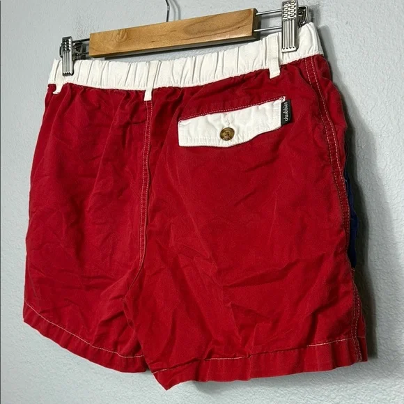 Chubbies Men's Patriotic Shorts - Picture 4 of 9